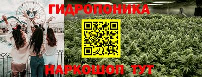 каннабис Бердск